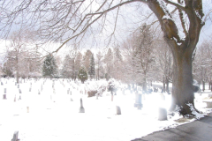 Salt Lake Cemetery