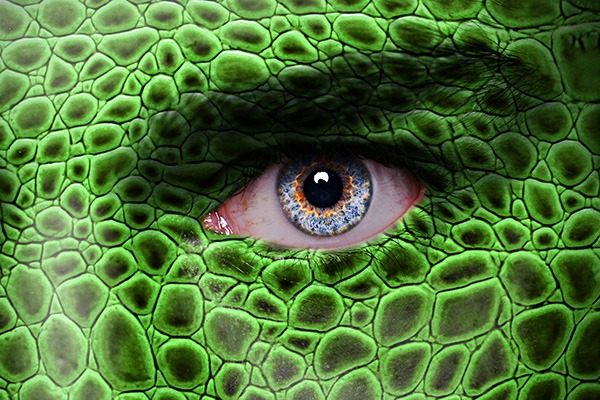 Featured image for “Lizard People – Do They Live Among Us?”